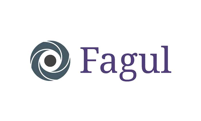 domain  Fagul.com