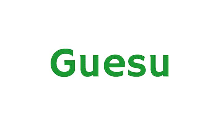 brand name Guesu.com