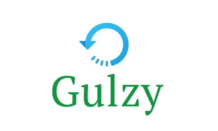 logo Gulzy