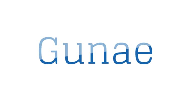 brand name Gunae.com