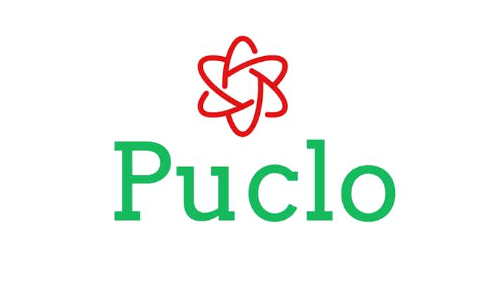 domain  Puclo.com