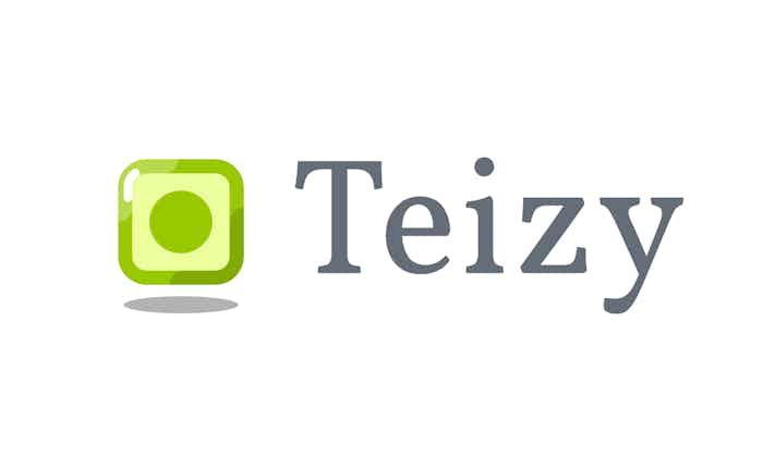 logo Teizy
