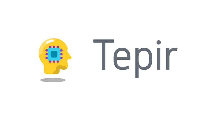 domain  Tepir.com