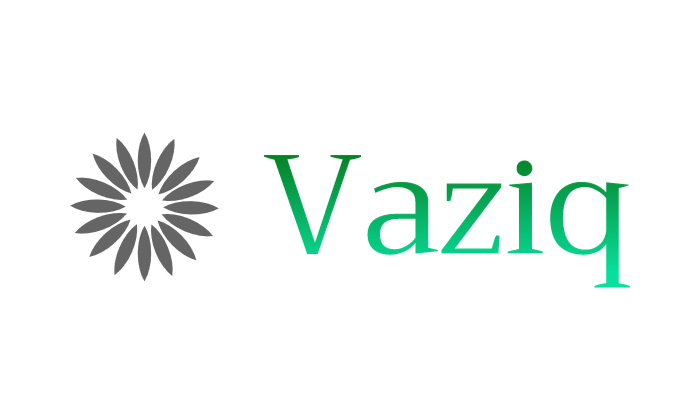 domain  Vaziq.com