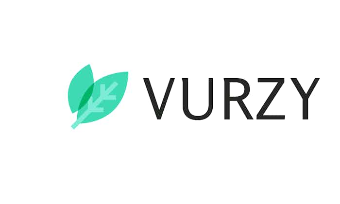 domain  Vurzy.com