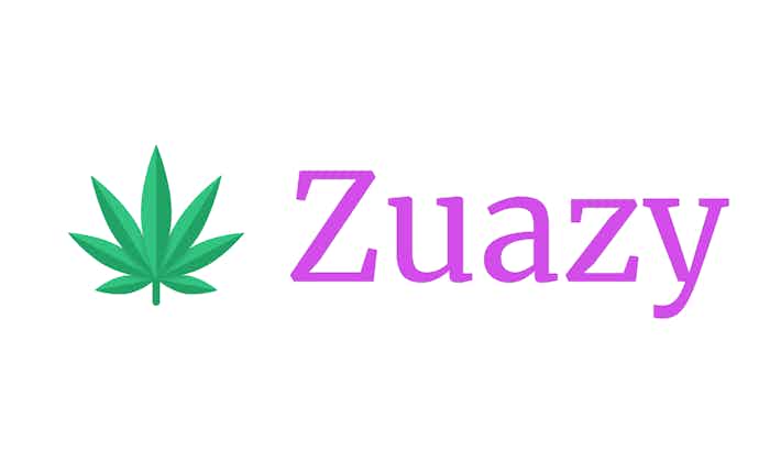 domain  Zuazy.com